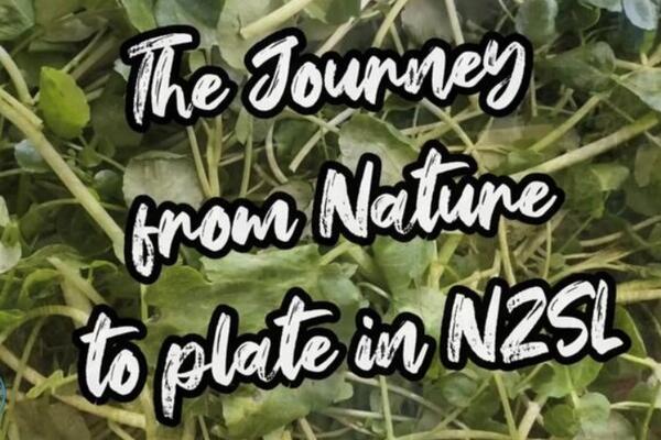 image of The Journey from Nature to Plate in NZSL - Māori boil up - watercress 🍀🌱🍀 (NO SUBTITLES)