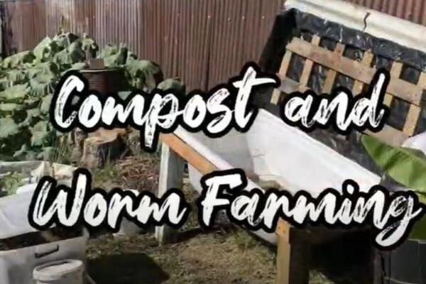 image of The Journey from Nature to Plate in NZSL - Compost & Worm Farming