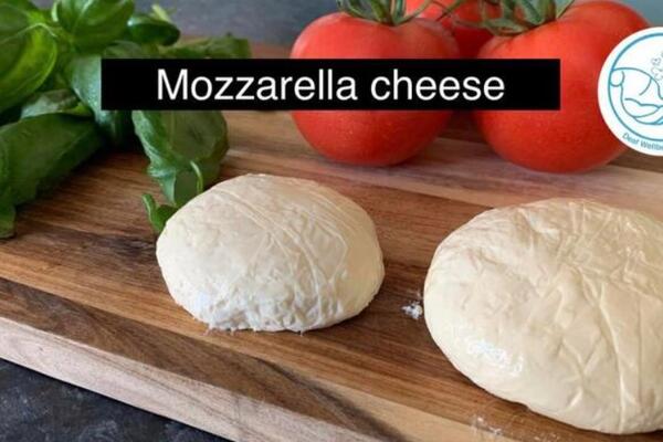 image of The Journey from Nature to Plate in NZSL - Homemade Mozzarella Cheese (NO SUBTITLES)