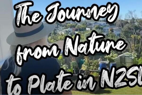 image of The Journey from Nature to Plate in NZSL - SUMMER GARDEN - Sweet Corn (NO SUBTITLES)
