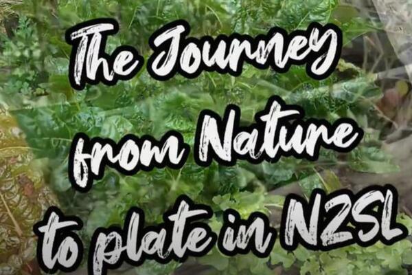 image of The Journey from Nature to Plate in NZSL - Cottage Garden (NO SUBTITLES)