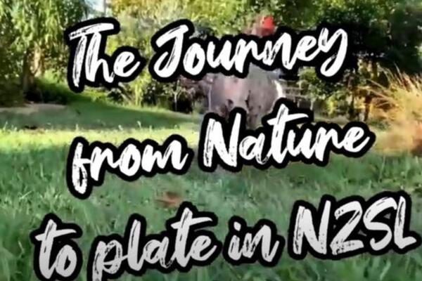image of The Journey from Nature to Plate in NZSL - Chicken (NO SUBTITLES)