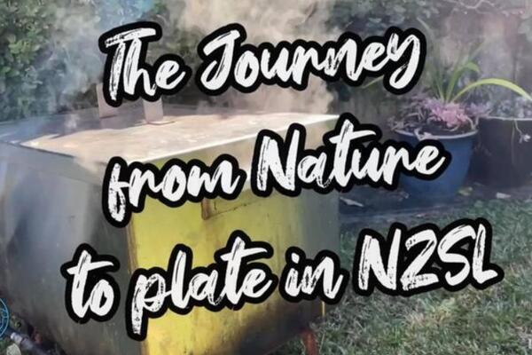 image of The Journey from Nature to Plate in NZSL - Smoked Fish (NO SUBTITLES)