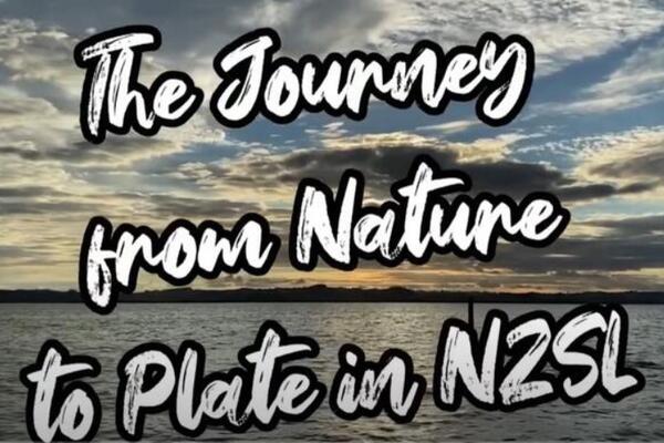 image of The Journey from Nature to plate in NZSL - FISHING (NO SUBTITLES)