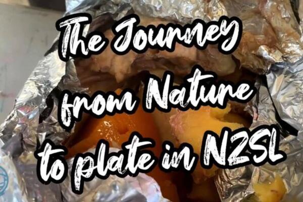 image of The Journey from Nature to Plate in NZSL - Hangi