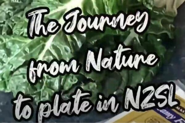 image of The Journey from Nature to Plate in NZSL - Wonderful Quiche (NO SUBTITLES)
