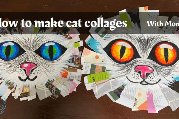 image of How to make cat collages with Monari