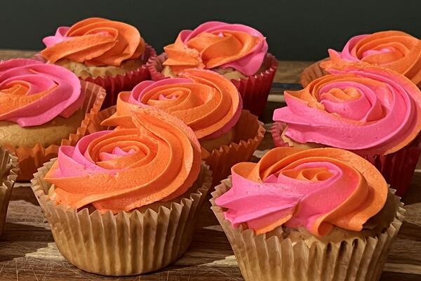 image of Vanilla Cupcakes and colourful swirls icing with Shoshone and Natasha