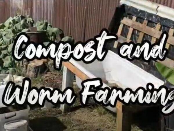 image of The Journey from Nature to Plate in NZSL - Compost & Worm Farming (NO SUBTITLES)