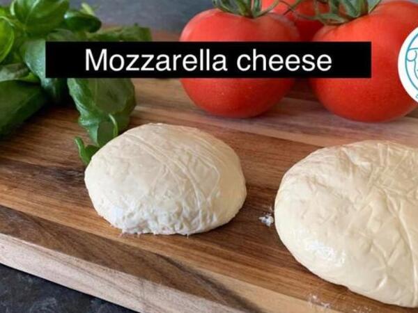 image of The Journey from Nature to Plate in NZSL - Homemade Mozzarella Cheese