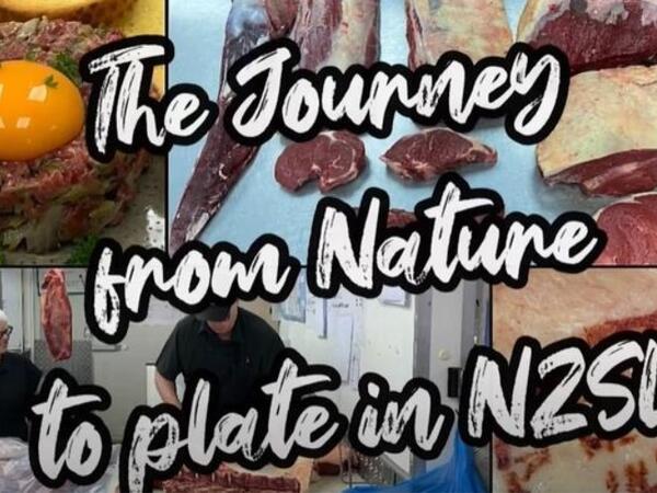 image of The Journey from Nature to Plate in NZSL - Butcher