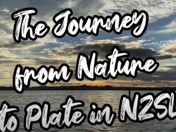 image of The Journey from Nature to plate in NZSL - FISHING