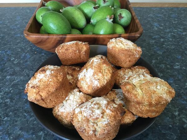 image of Feijoa, Lemon & Coconut Muffins