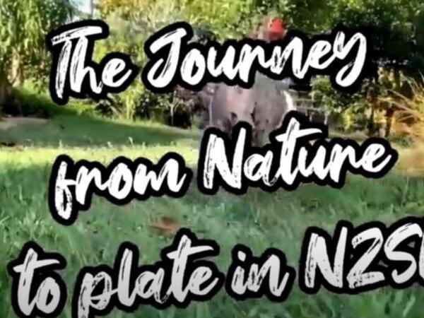 image of The Journey from Nature to Plate in NZSL - Chicken