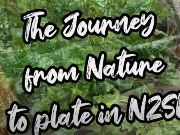 image of The Journey from Nature to Plate in NZSL - Cottage Garden (NO SUBTITLES)