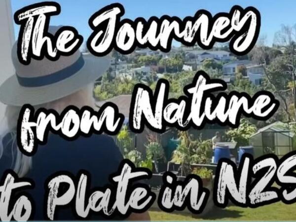 image of The Journey from Nature to Plate in NZSL - SUMMER GARDEN - Sweet Corn