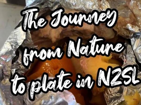 image of The Journey from Nature to Plate in NZSL - Hangi