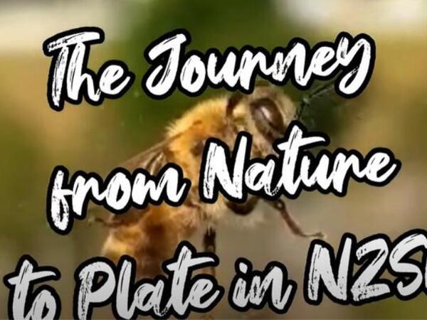 image of The Journey from Nature to Plate in NZSL - Honey/Bees (NO SUBTITLES)