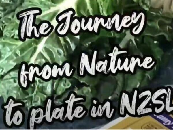 image of The Journey from Nature to Plate in NZSL - Wonderful Quiche (NO SUBTITLES)